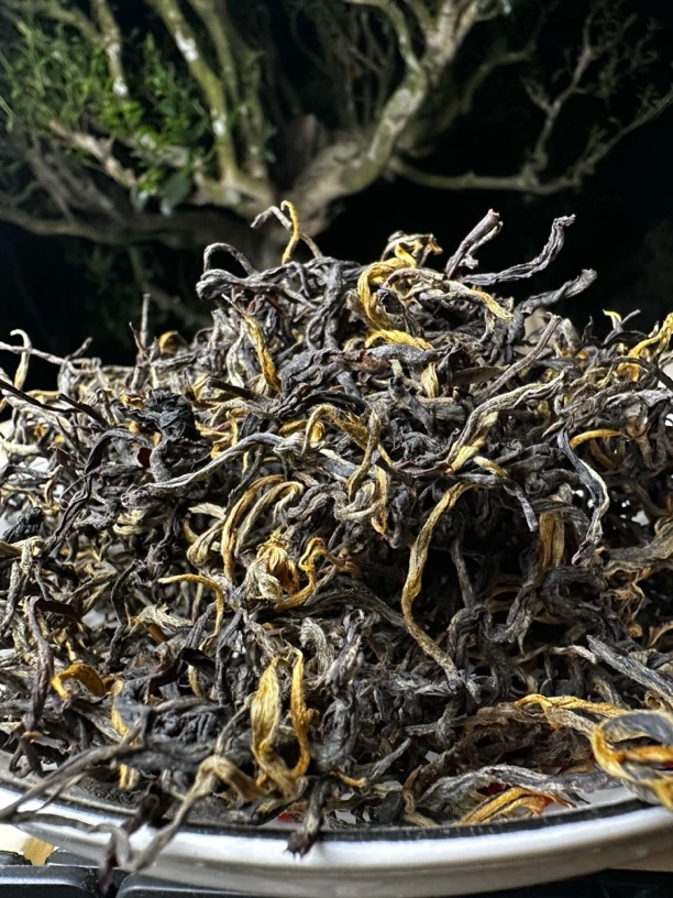 （冬源的茶）古树晒红茶 （2025年）