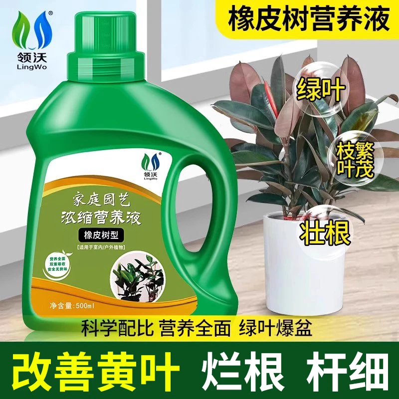 橡皮树营养液处理黄叶专用烂根通用型液体肥料发财树幸福树等