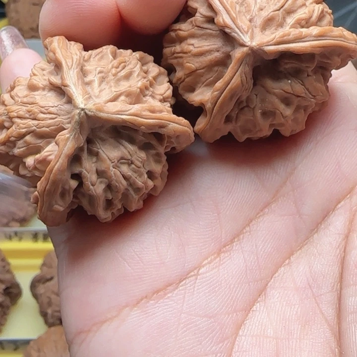 小****桃核吊坠问问核桃三棱