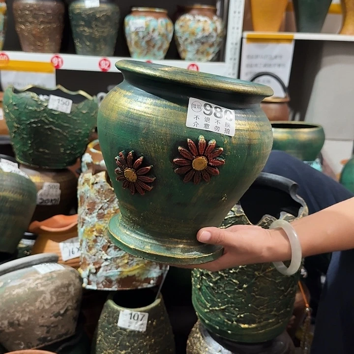85金绿鱼尾花高度20口径18