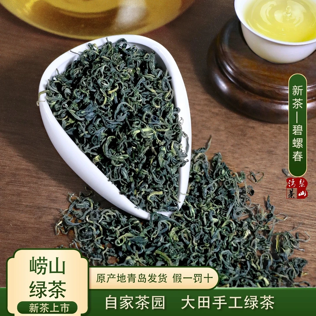崂山绿茶2025秋茶新茶2025一芽多叶豌豆香浓香型茶汤青香鲜甘甜