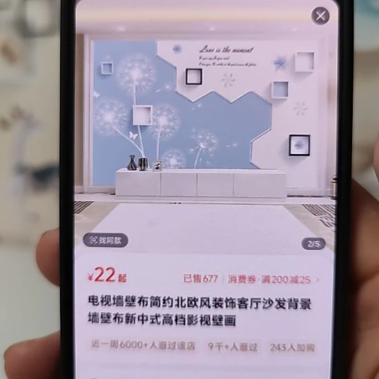 你***福客厅电视墙壁画壁布