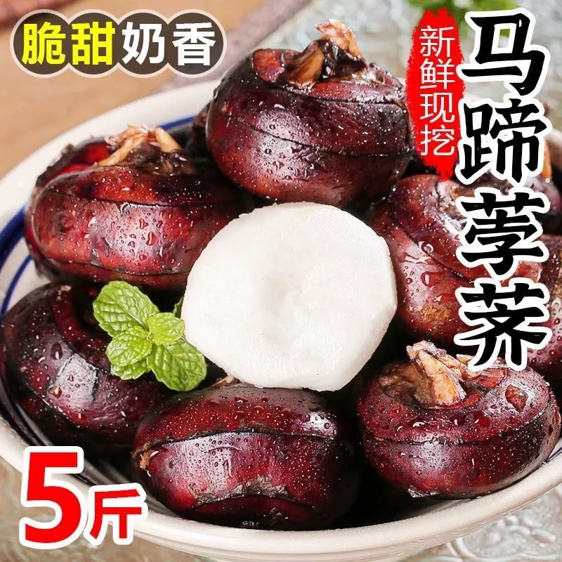 【女神节福利】广西荔浦马蹄1箱5斤 奶香脆甜口感好（生吃炒菜都可以）