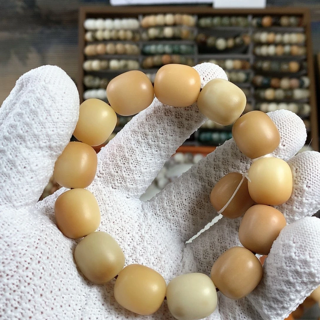 【闪购商品】菩提根/象牙果手串北*