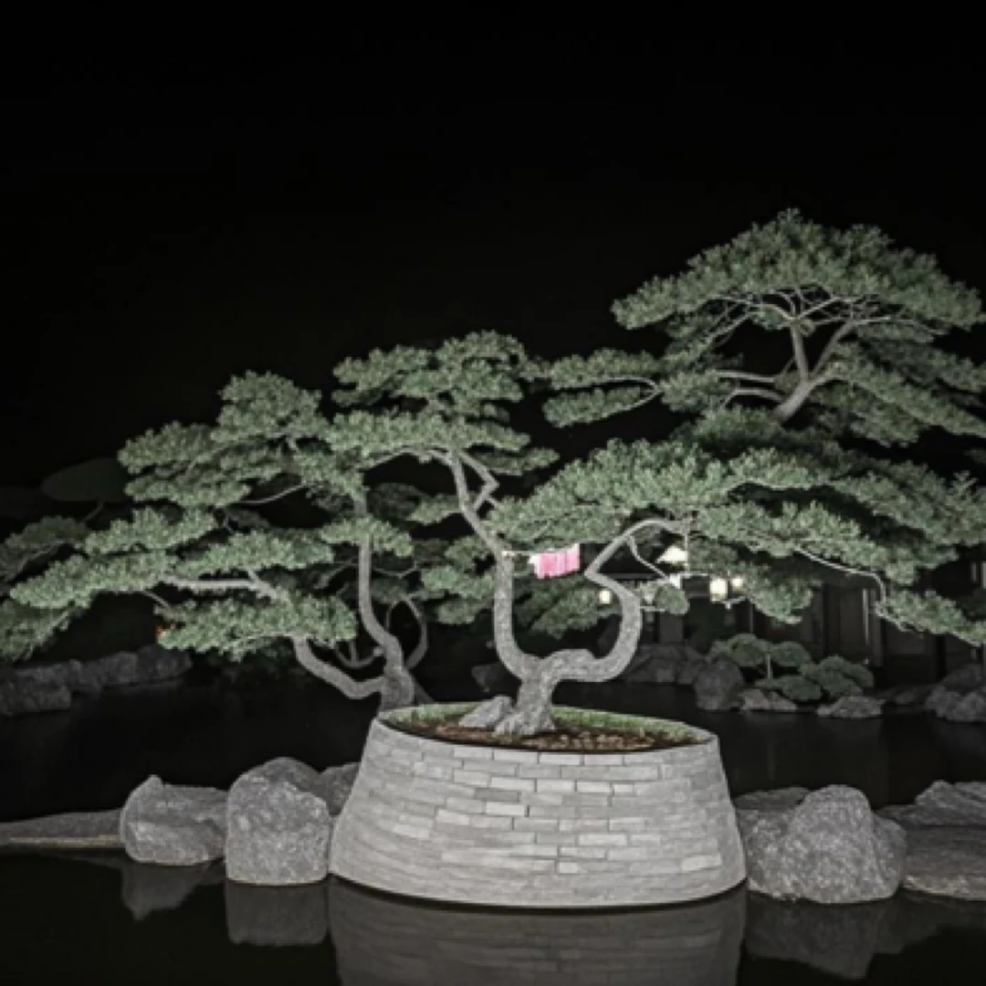 泰山造型松盆景定金011松树盆景