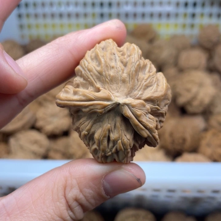 文玩核桃吊坠白狮子39.54333.5