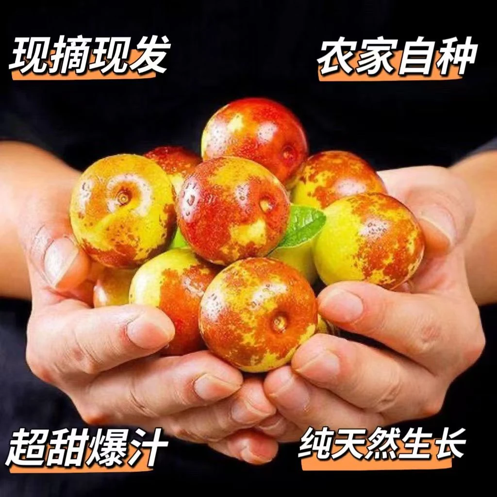 【顺丰包邮】 陕西冬枣新鲜水果当季大果脆甜 现摘 坏果包赔陕西省