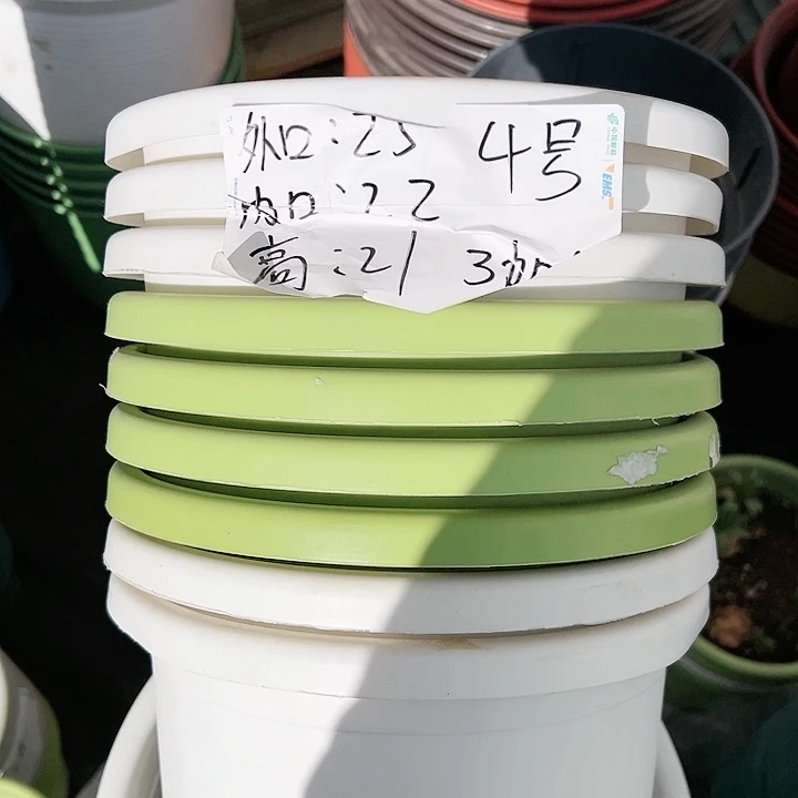 塑料四季盆4#果绿5个无托