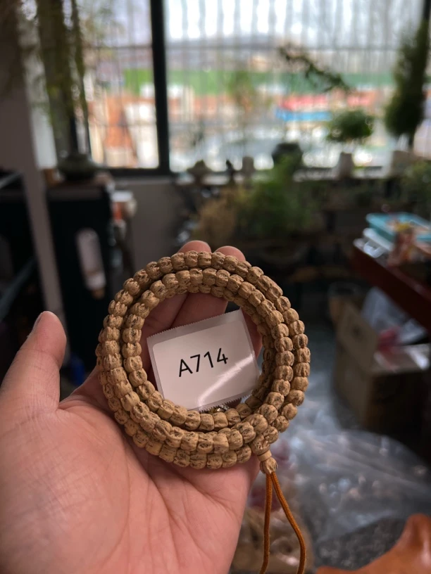 热振柏香籽 粉皮龙爪 A714