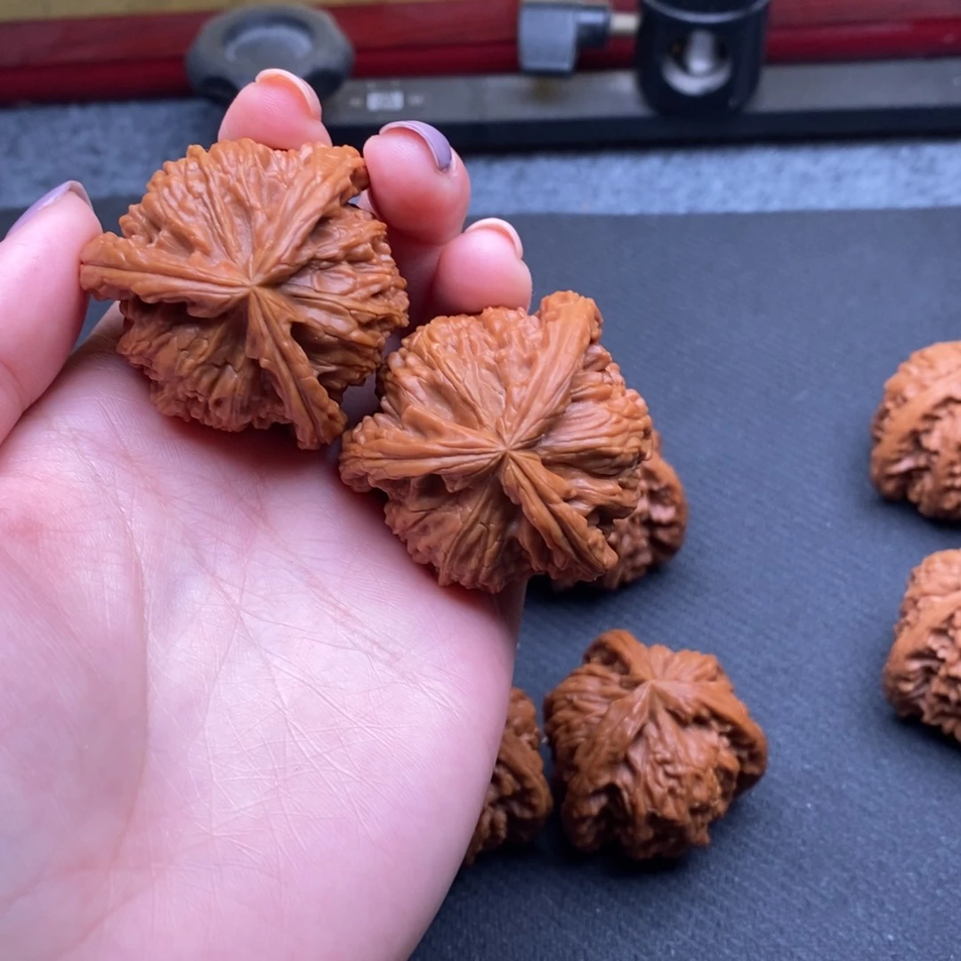 朱**_白狮子111111111