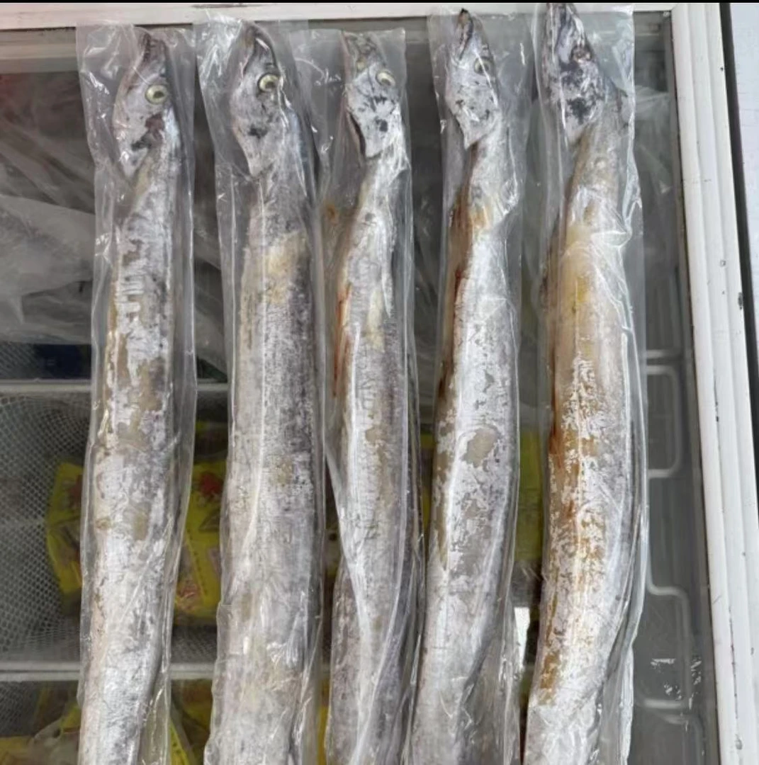 舟山风带鱼咸带鱼小眼睛油带签收冷冻保存顺丰江浙沪包邮