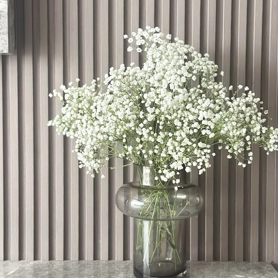 顺丰次日达【白色满天星  】鲜花任意两单顺丰送货上门