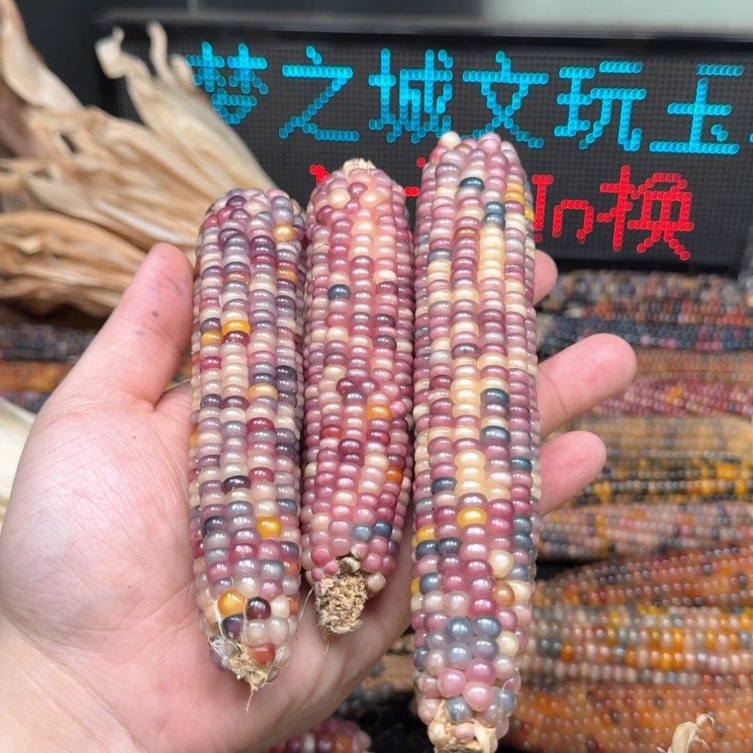 柏香籽/百香籽吊坠薇****0