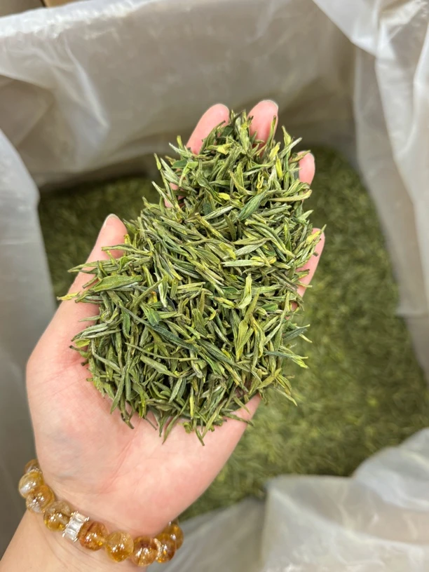 【高山黄芽】2025年新高山黄芽兰花香