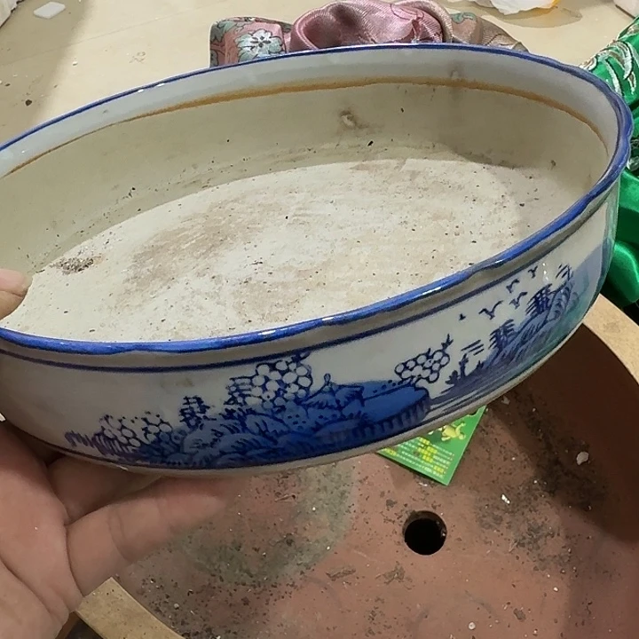 蟹***板木吃g个哥哥哈哈哈哈哈哈吧