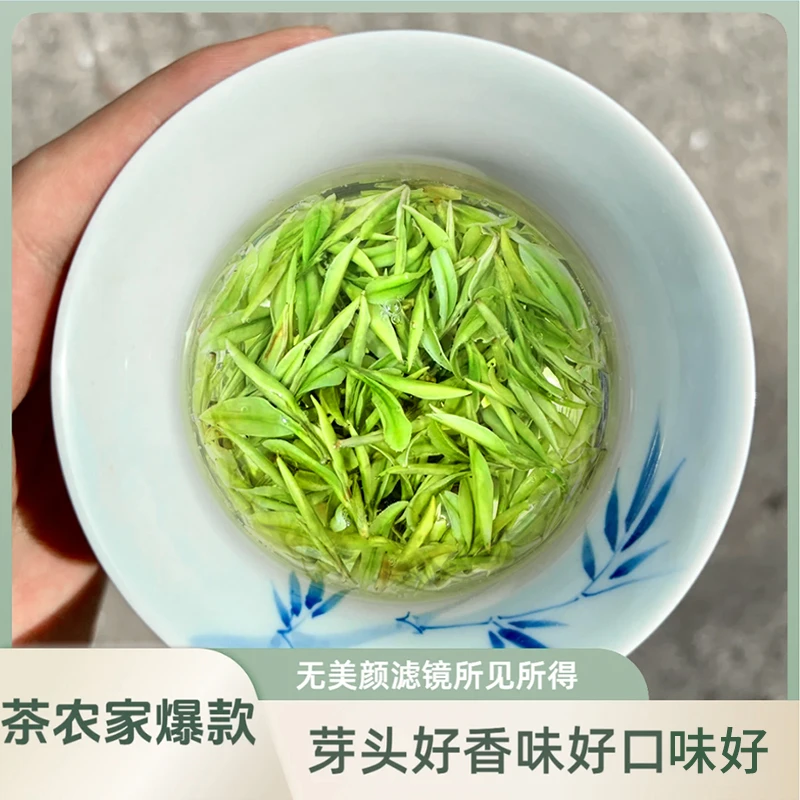 6号【头采小芽】安吉原产地白茶品牌春茶茉莉花茶绿茶叶新茶叶