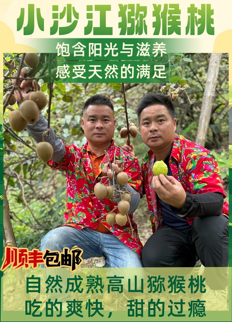 湖南隆回小沙江富硒良米一号绿心猕猴桃香甜软糯现摘现发顺丰包邮