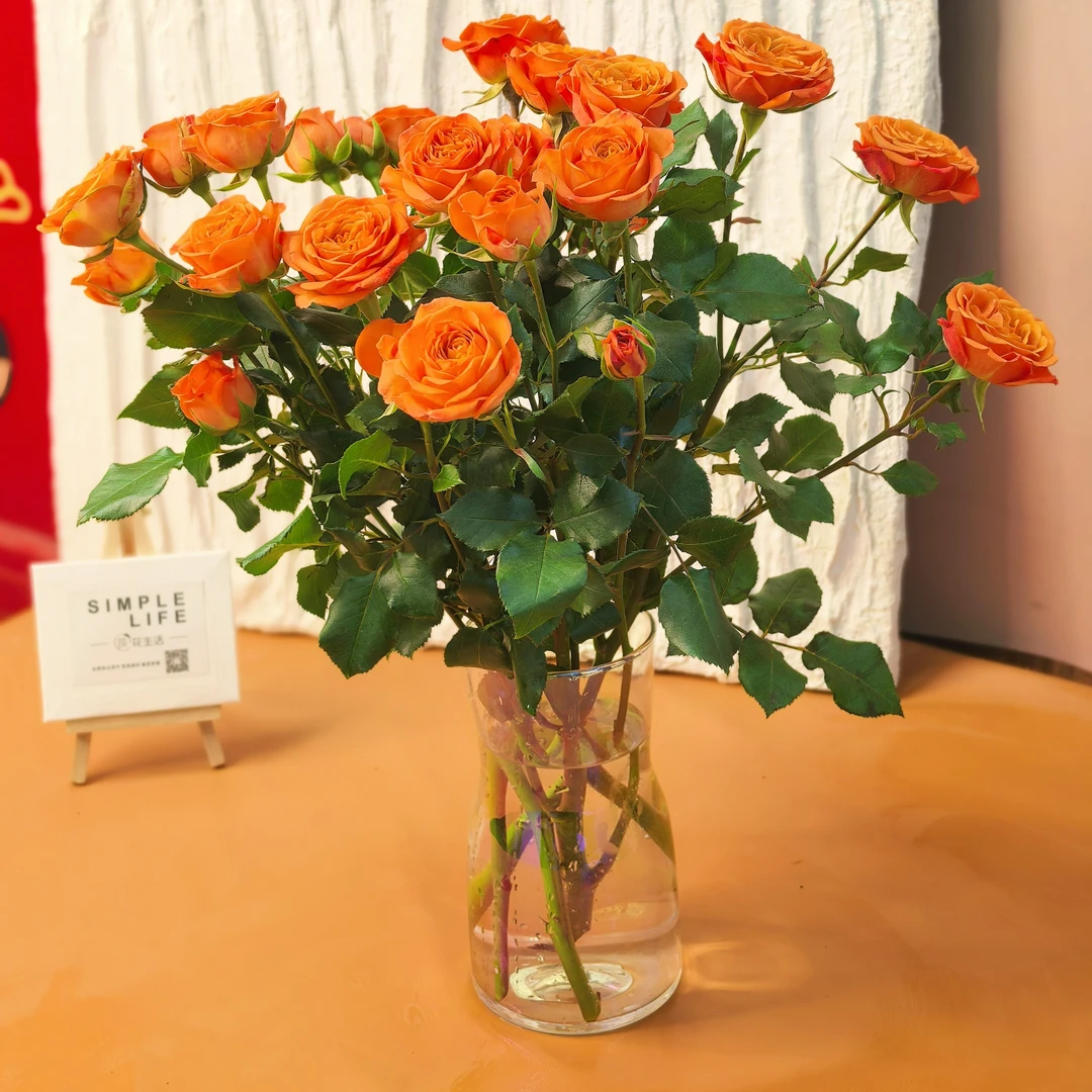 橙芭比家居花（随机送花瓶）