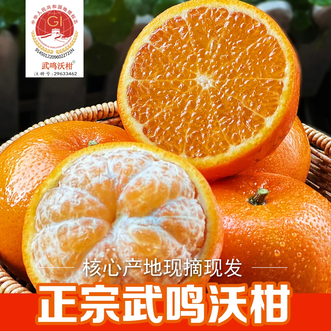【开园福利】正宗武鸣沃柑2斤大果原产地现摘现发皮薄肉厚香脆爆汁