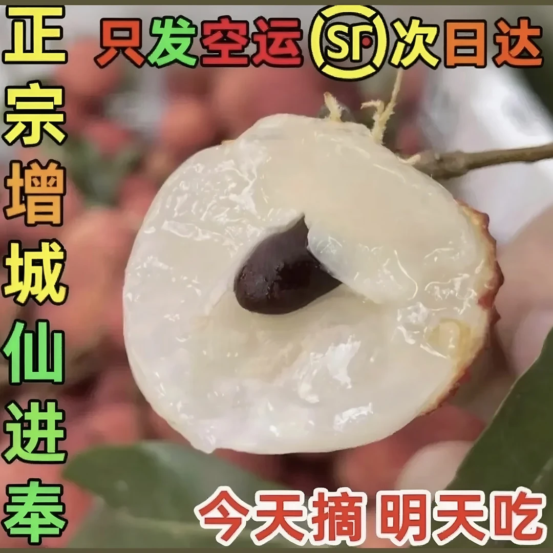 广东新鲜荔枝老荔枝树新鲜现摘当季水果冷链直发