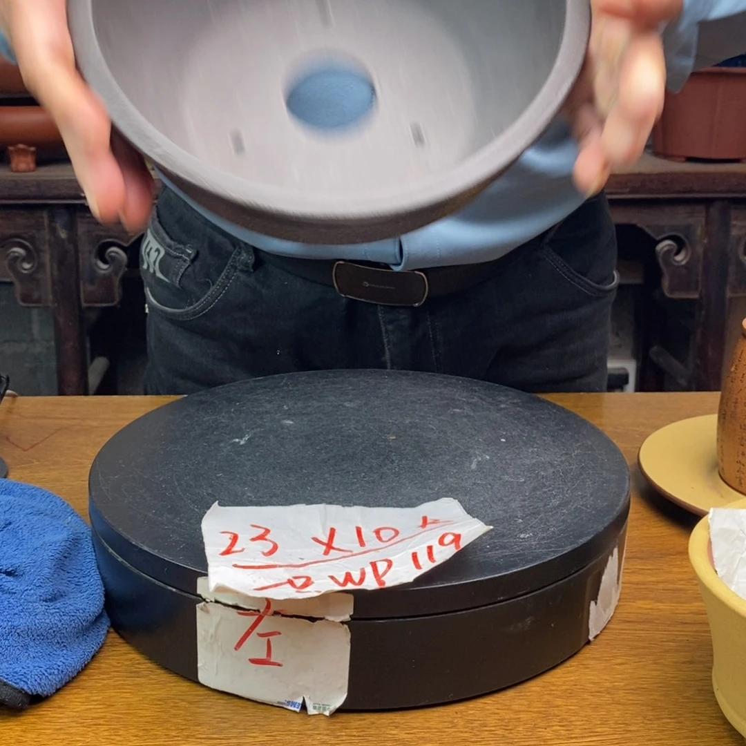 紫砂货号一只WP119