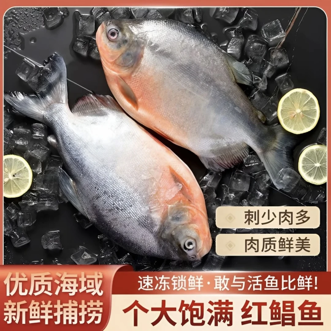 鲜活速冻红鲳鱼一条（1.6斤-1.8斤）