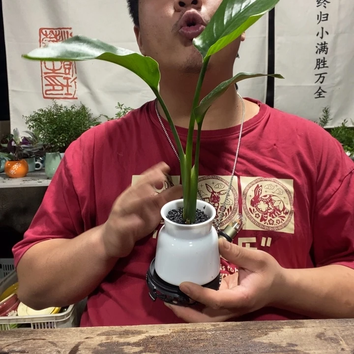 一物一拍所见即所得171