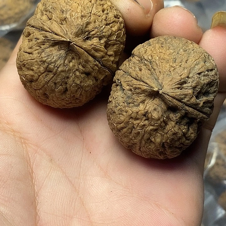 文玩核桃把件云南铁核桃49号40mm
