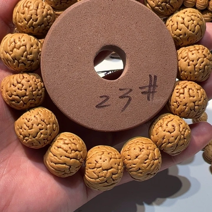 用***6核桃桃核直播23号直播