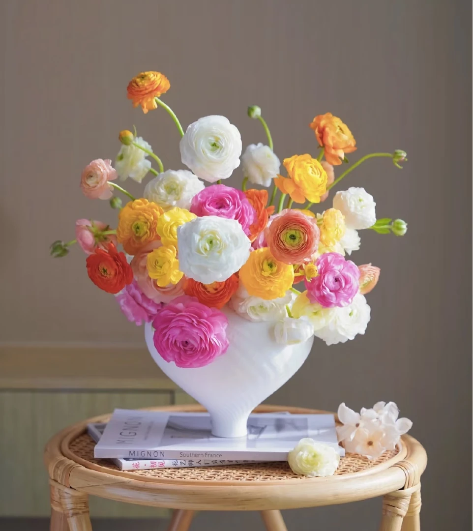 【春日限定】洋牡丹 Chinese peony 仙女下凡