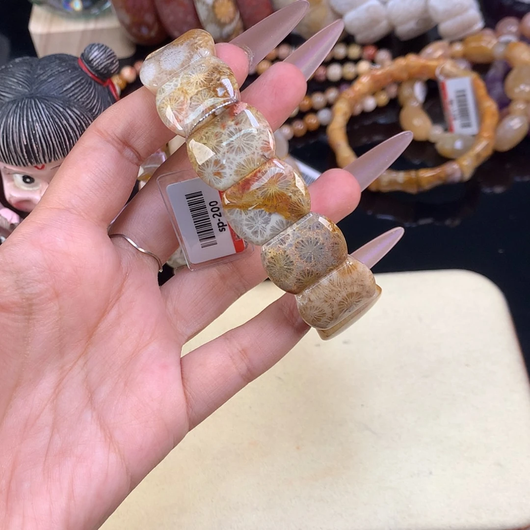 【闪购商品】颈饰未镶嵌硅化珊瑚（珊瑚玉）