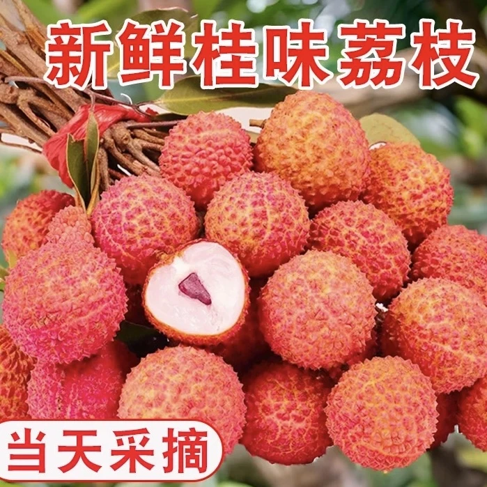 广东荔枝正宗桂味淡淡桂花香新鲜采摘现摘荔枝同城送广东省