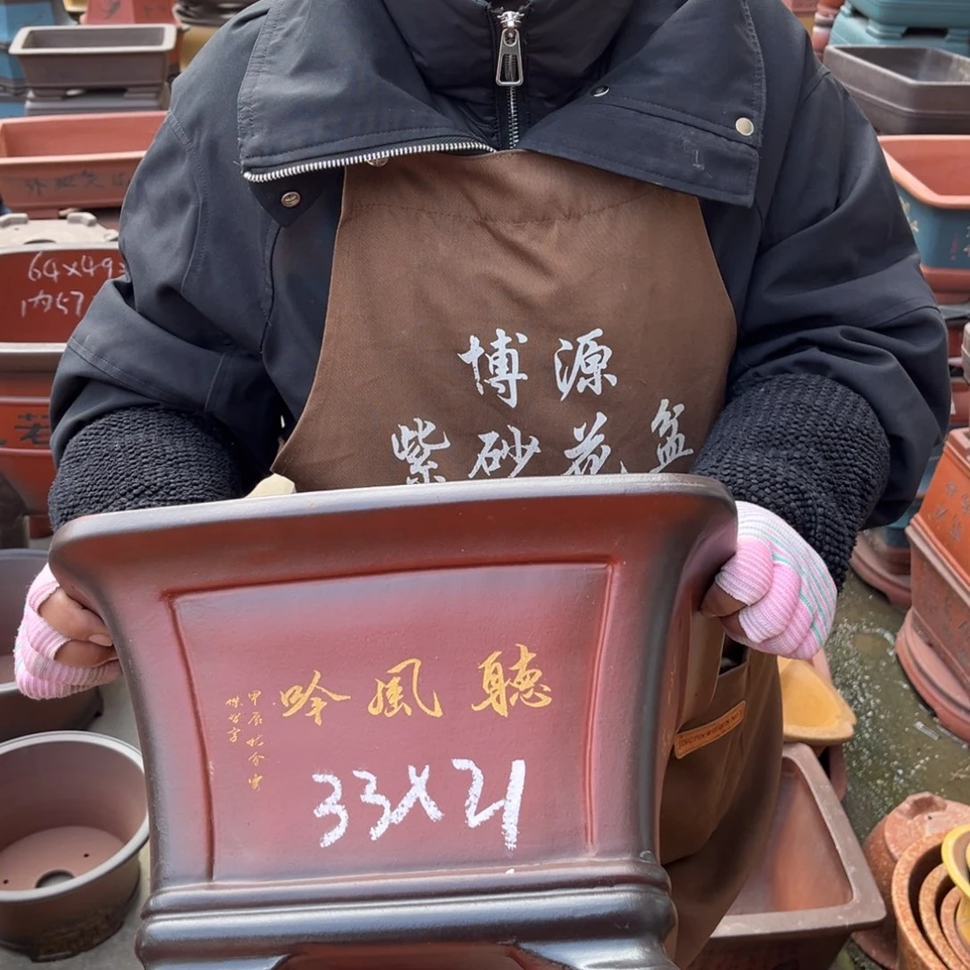 花盆紫砂盆景艺术
