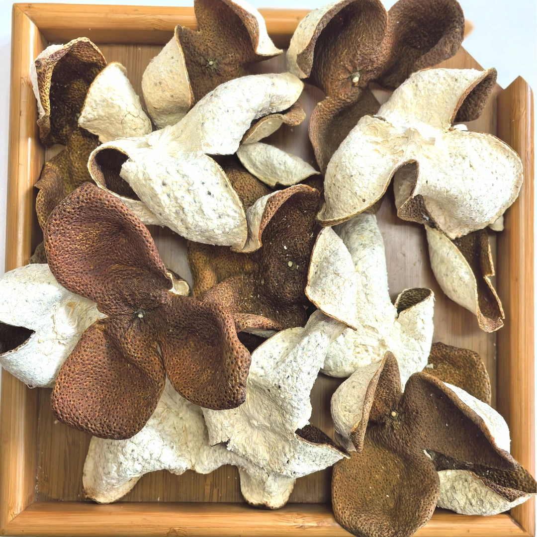 甜润大青K-2024年新会陈皮茶坑子排围冬至大青【12月24日采摘】