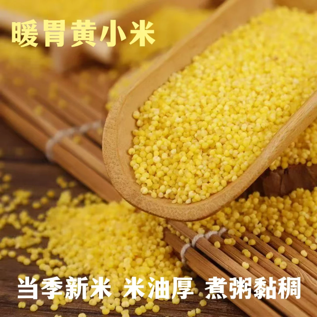 农家小黄米新小米熬米粥月子米宝宝米五谷杂粮粥养胃五谷杂粮