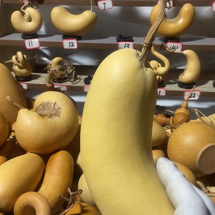 茗***中有机玻璃直播间里的拍品链接