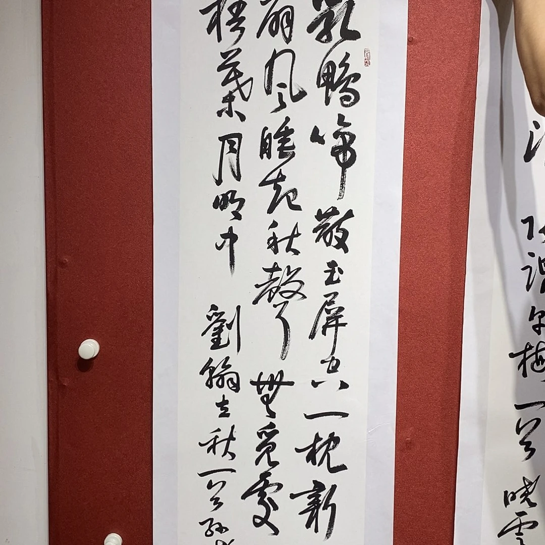 书法乳鸭直播大漏