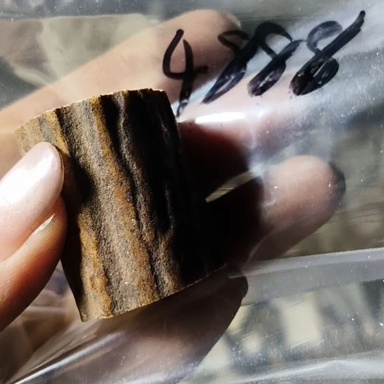 爱***说非金属无鹿角鹿角鹿角