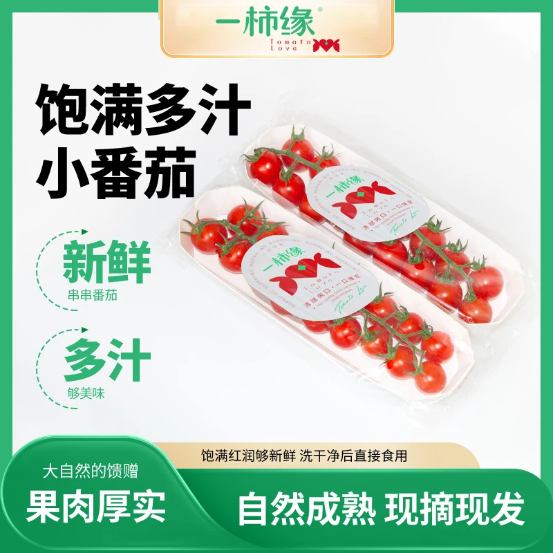一柿缘六盒串番茄樱桃番茄酸甜多汁小西红柿车厘串茄198g*6船盒装