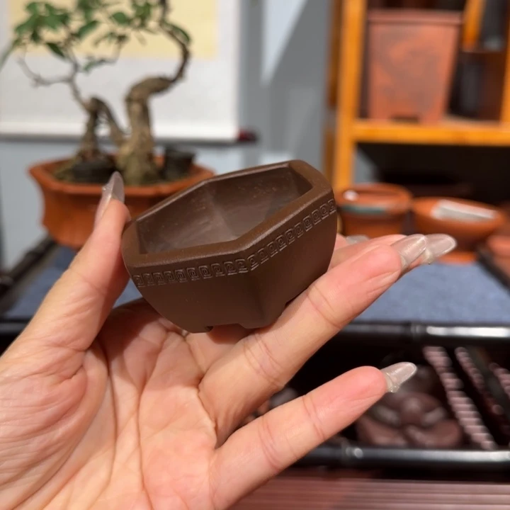花盆紫砂口径5深度2.2