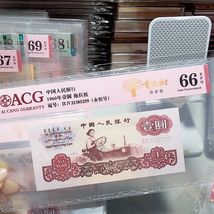 21385259。。。。幸运树