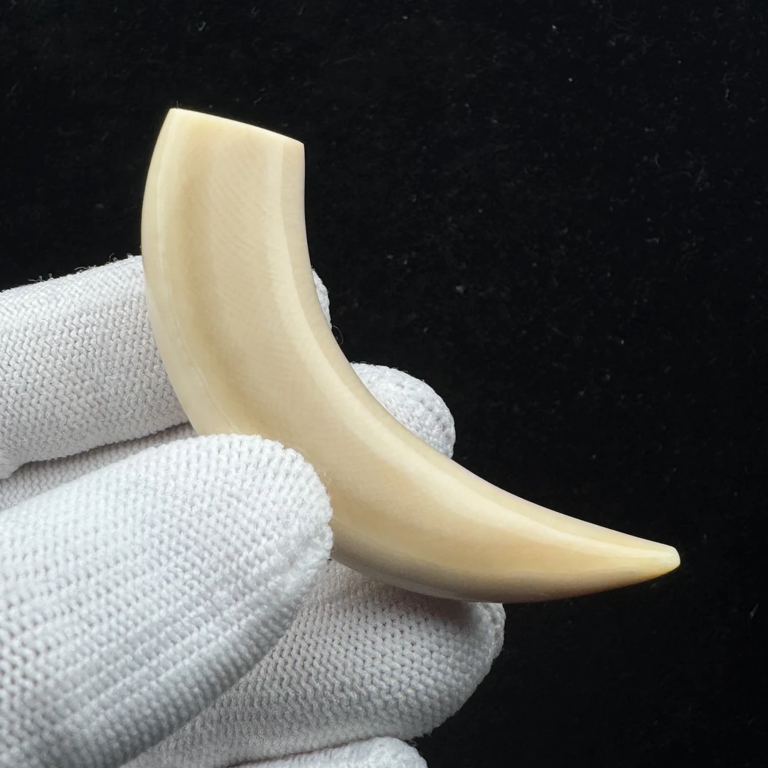 L2723天然猛犸牙 牙尖62.3mm支持鉴定 假一罚四