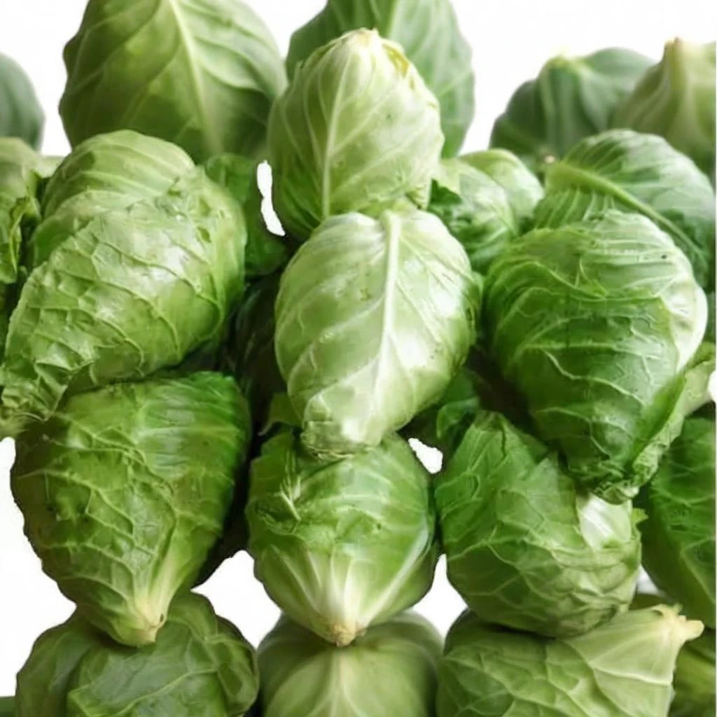 扭心莲花白（500-1000g）蔬菜
