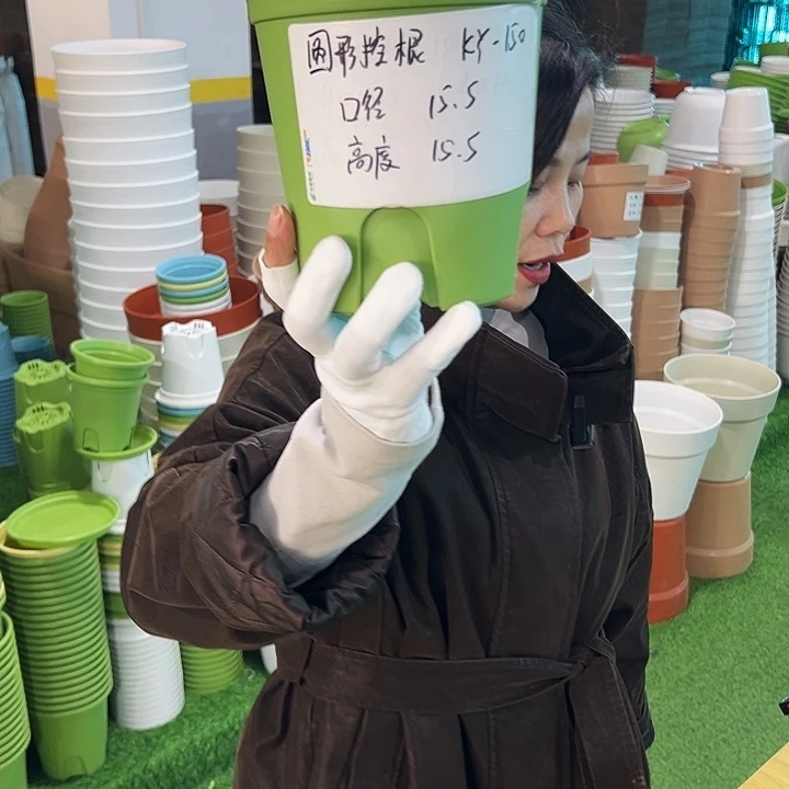 正品圆控口15高15果绿无托10只