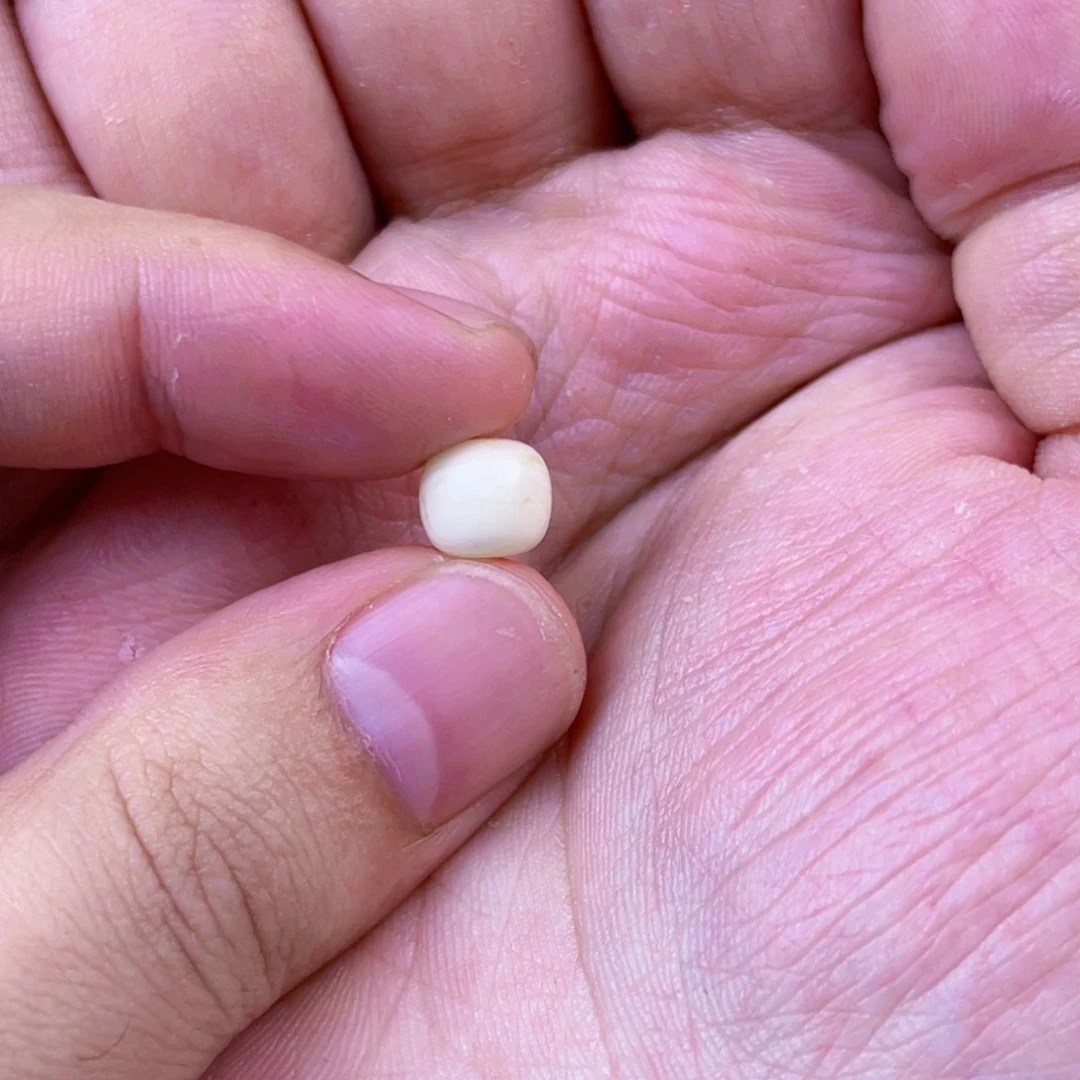 琥珀珠宝奇石未镶嵌u****a