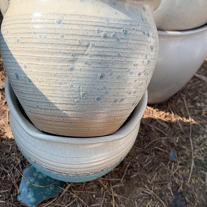 红陶口20高17福利价