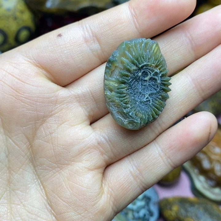 蓝***卫大叶紫檀（黑酸枝木类）