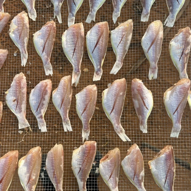 湛江海鱼干 红三鱼干 煎 爆炒 清蒸一定要放急冻