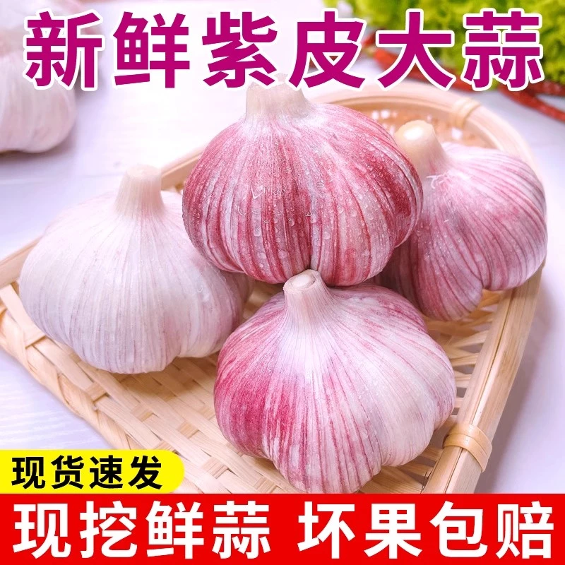 （助农特惠）2025河南新鲜大蒜头紫皮干蒜大蒜腌制现挖干蒜生蒜