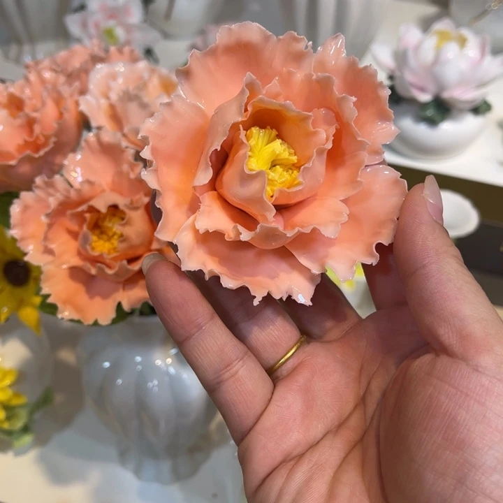 瓷片558888888888655555